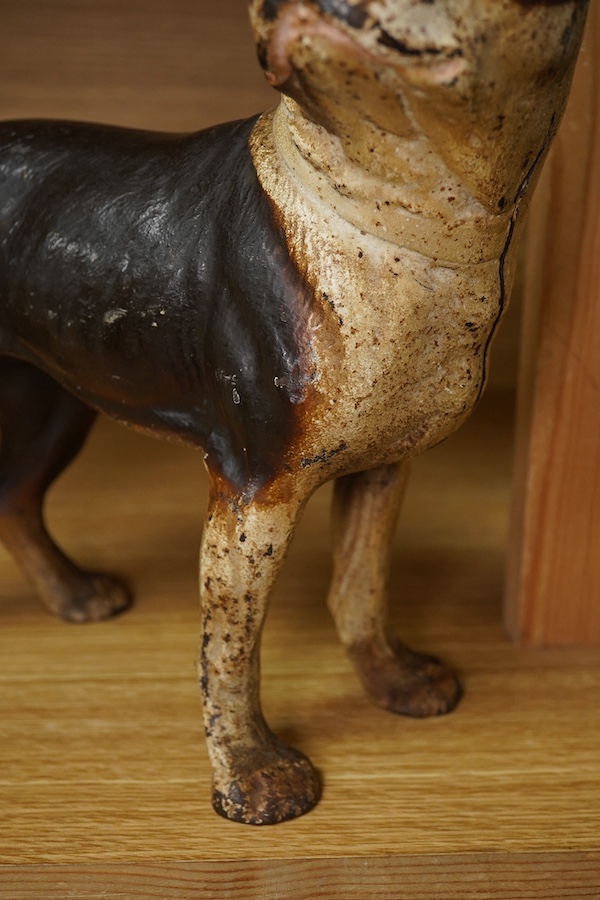 A painted cast iron model of a Boston Terrier, 25cm tall. Condition - fair to good